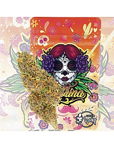 LIVE BIO HEMP - CATRINA...