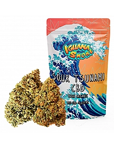 OFERTA FLASH: Iguana Smoke...