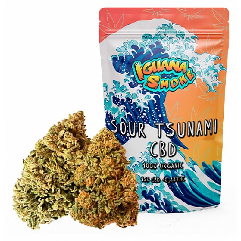 OFERTA FLASH: Iguana Smoke Flores de...