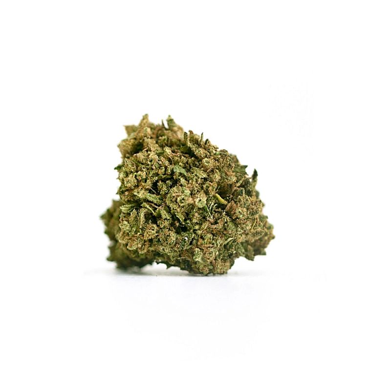 Veraseed Small Buds Vera Sweet CBD