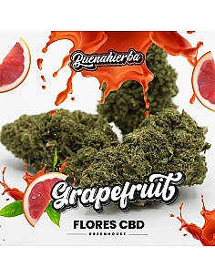 Buenahierba Flores CBD...